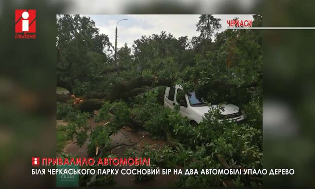Два автомобілі привалило деревом біля парку Сосновий бір у Черкасах (ВІДЕО)